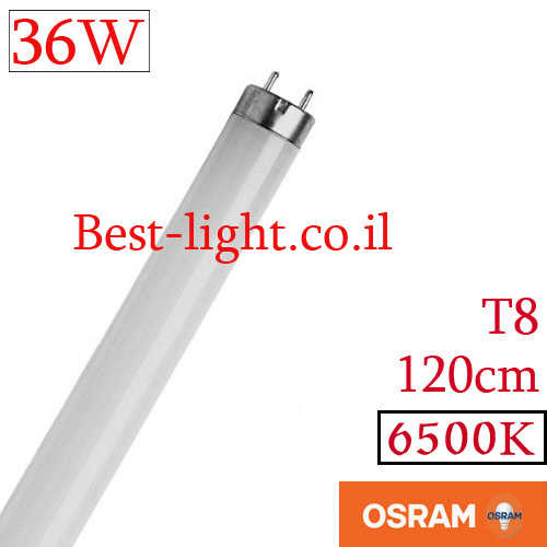 נורת פלורסנט OSRAM T8 120cm 36W 6500k